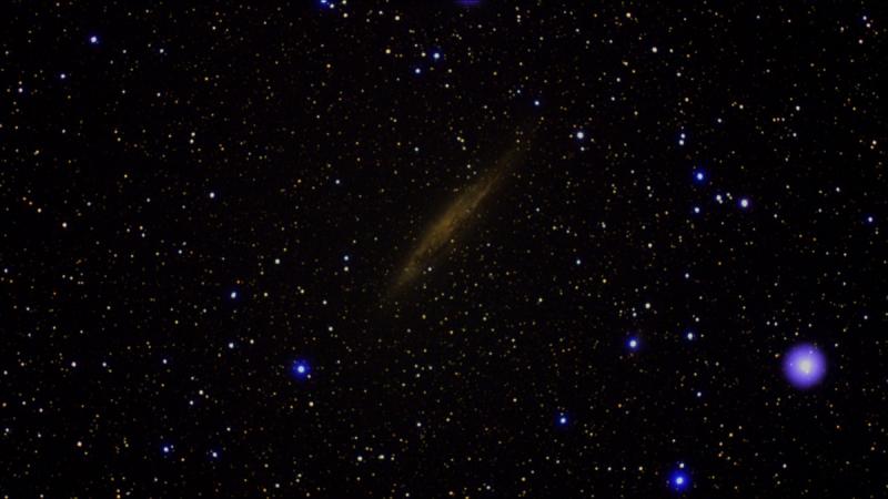 NGC 4945_2023-04-25_NA140SS_ASI585_SC_38X8.0s_304s_Gain400.jpg