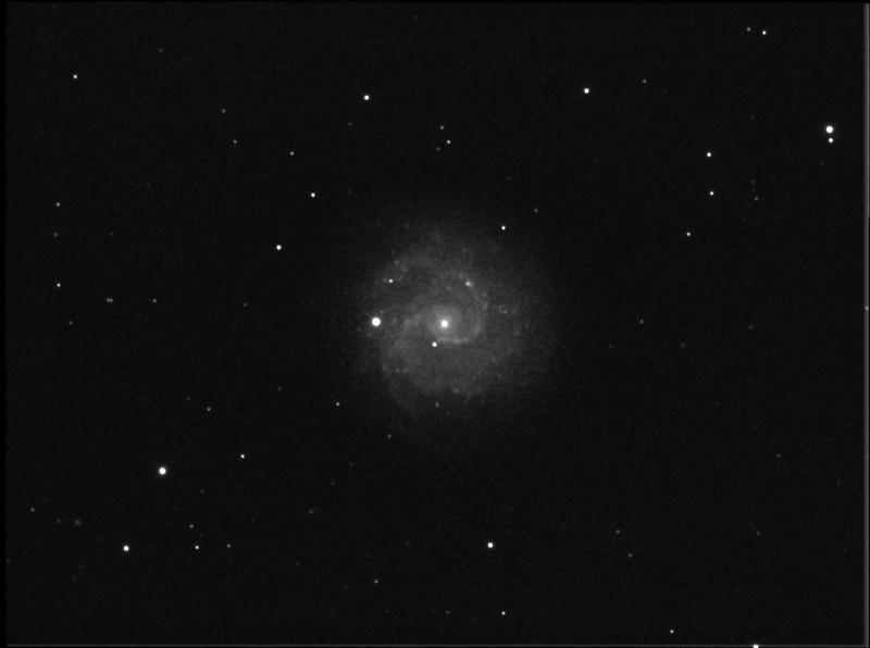 6426596-NGC 3184 quick process.jpg