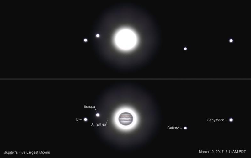 Jupiter's Five Largest Moons.jpg