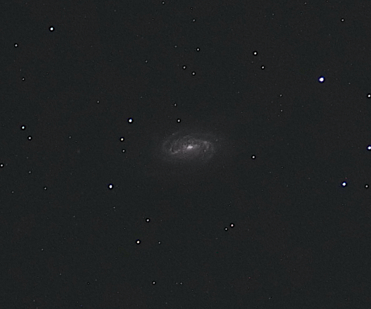 NGC_2903_5MIN_ISO800.jpg