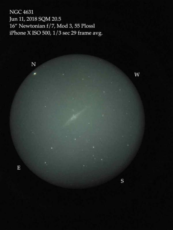 NGC 4631 Z16 afocal.jpeg