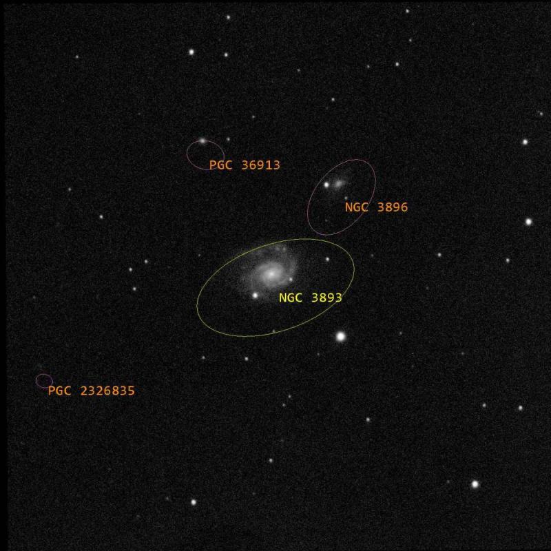NGC 3893_ZWO ASI533MM Pro_10 x 15,0s = 150s_3_04_2023T22_14_15_WithAnnotations.jpg