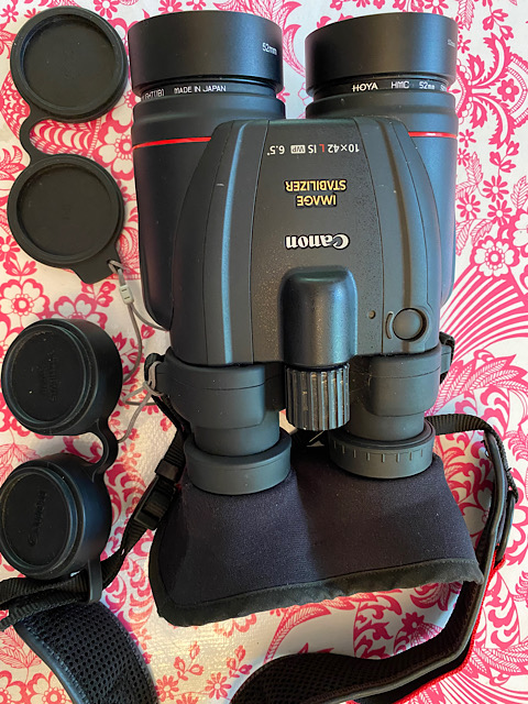 A Different Soft Case for my CANON 10x42 L IS - Binoculars