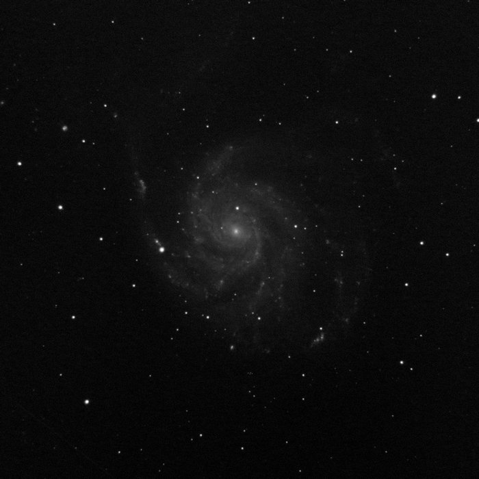 M101-5_26_2023-100x6s.jpg
