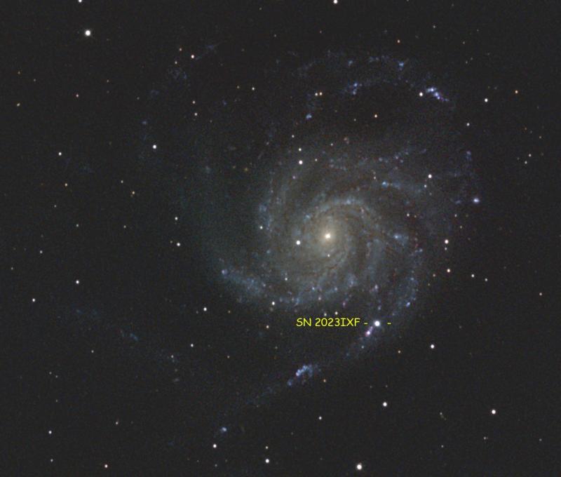 M101 Supernova 2023 Tony Keifer.jpg