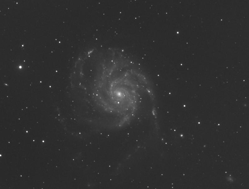 M101-L-Cropped.jpg