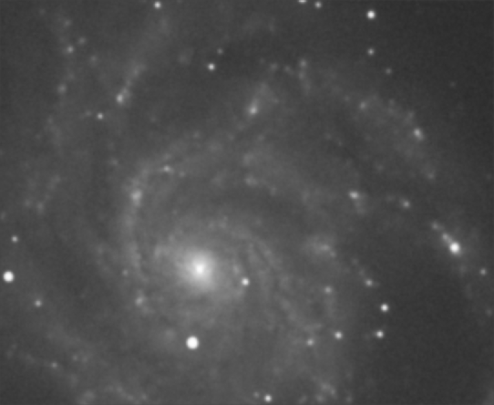 Zoom M101-L Cropped.jpg