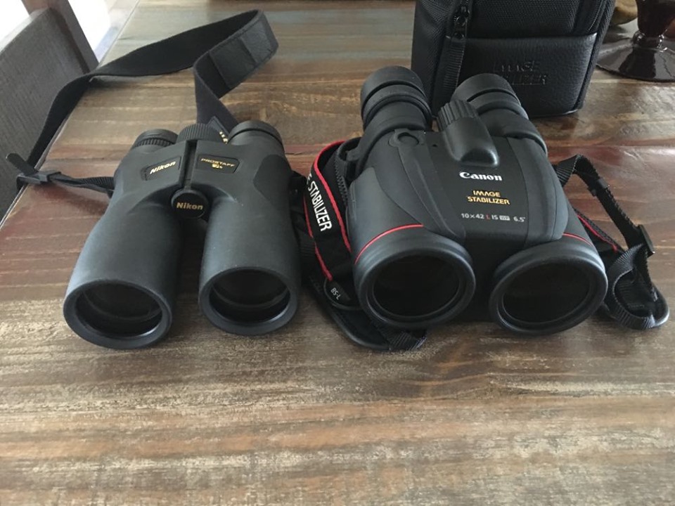 Canon 10x42 IS L first impressions.. - Binoculars - Cloudy Nights