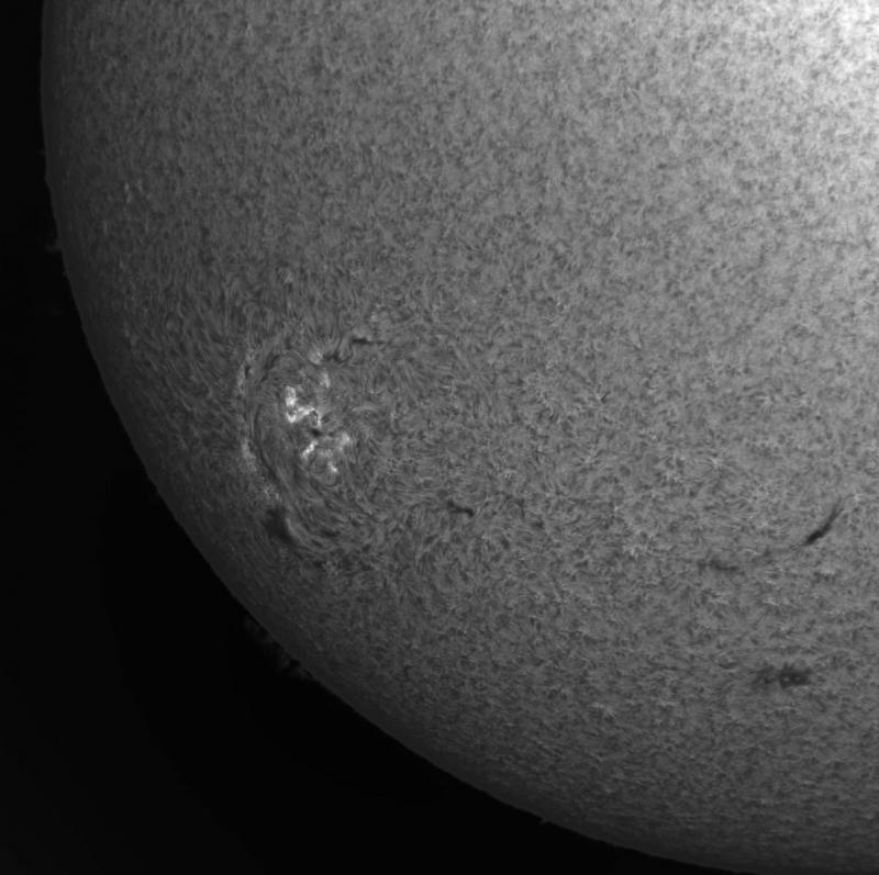 sun-avi-100ms-lowerL_lapl5_ap34049-imppg.jpg