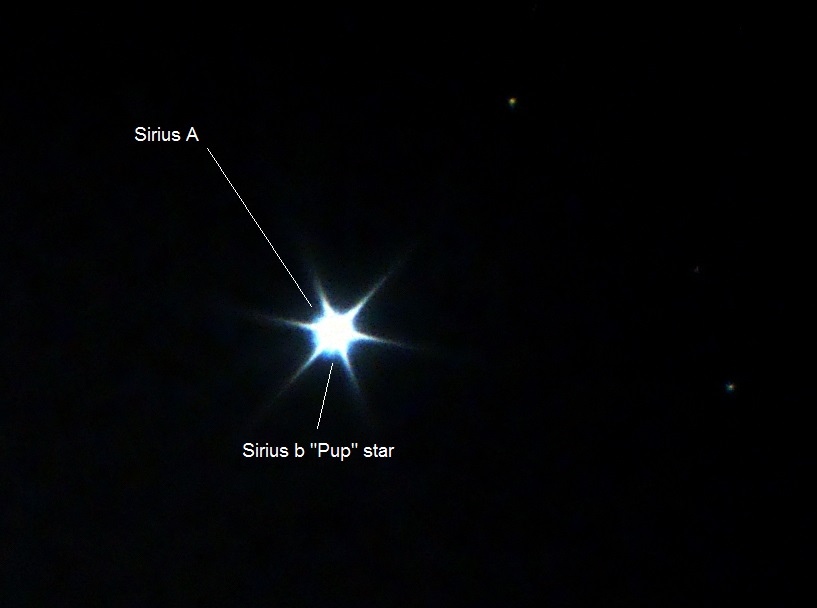 Яркая звезда в созвездии большого пса. Сириус двойная звезда. Созвездие большого пса Сириус. Сириус Альфа большого пса. Звезда белый карлик Сириус б.