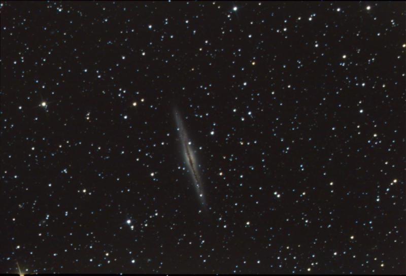 NGC 891 11-27-21 80x180s.jpg