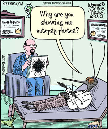 mosquito autopsy.jpg