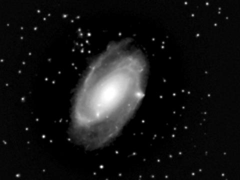 2050682-M81 - Bodes Galaxy - Epsilon(WF).jpg