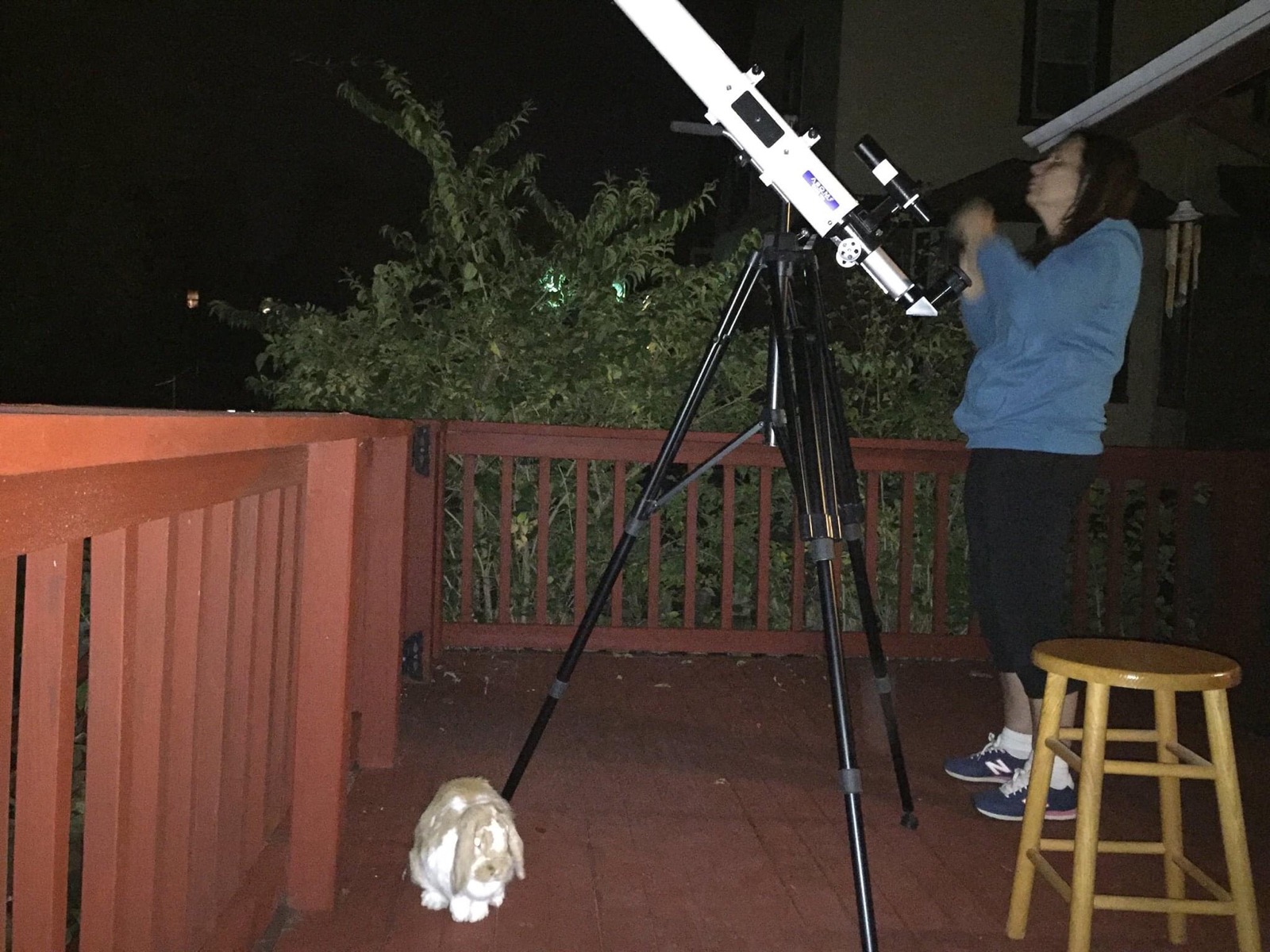 C80 on Vixen Polaris mount - Classic Telescopes - Cloudy Nights