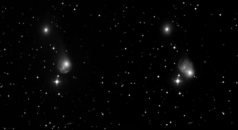 Sw occultation of NGC2276 by Comet C2020 V2.jpg