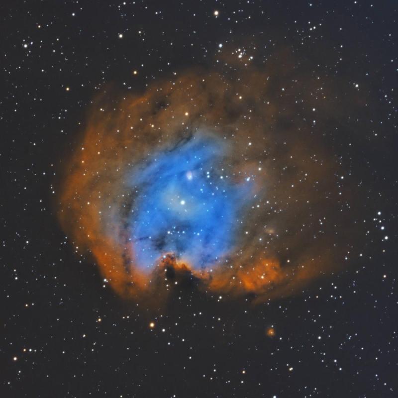 NGC2174_Monkey_Head_Nebula_low.jpg