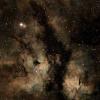 Elephant Trunk Nebula - last post by stargazer julie