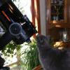 New ASI224 camera with extremely low read noise - last post by Marcsabb