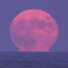 September 9th waning crescent moon - last post by FernandoPrz